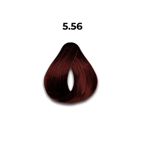 COLOR CREME 5.56 CASTANHO CLARO ACAJÚ VERMELHO - COLORAçÃO PERMANENTE 60G