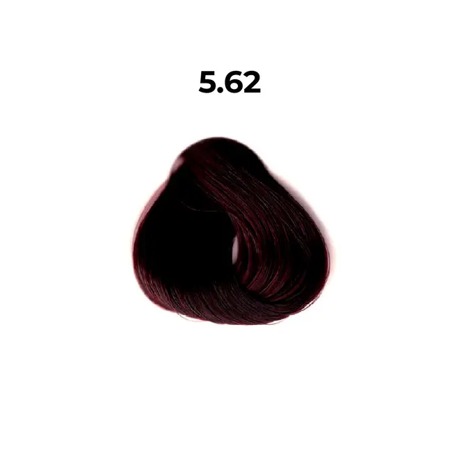 COLOR CREME PREMIUM 5.62 CASTANHO CLARO VERMELHO VIOLETA - TINTURA SEM AMÔNIA 60G  1